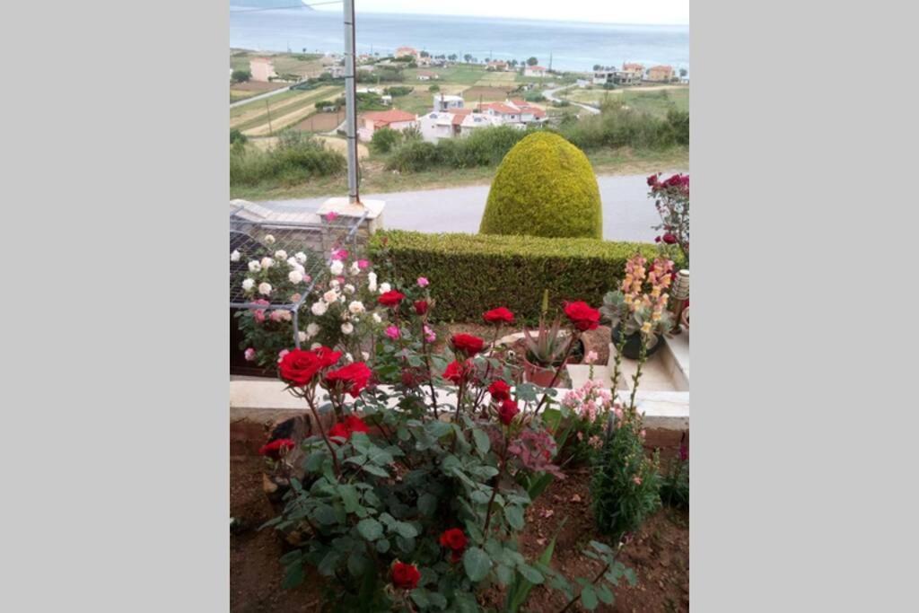 Villa Roses-Mourteri Luaran gambar